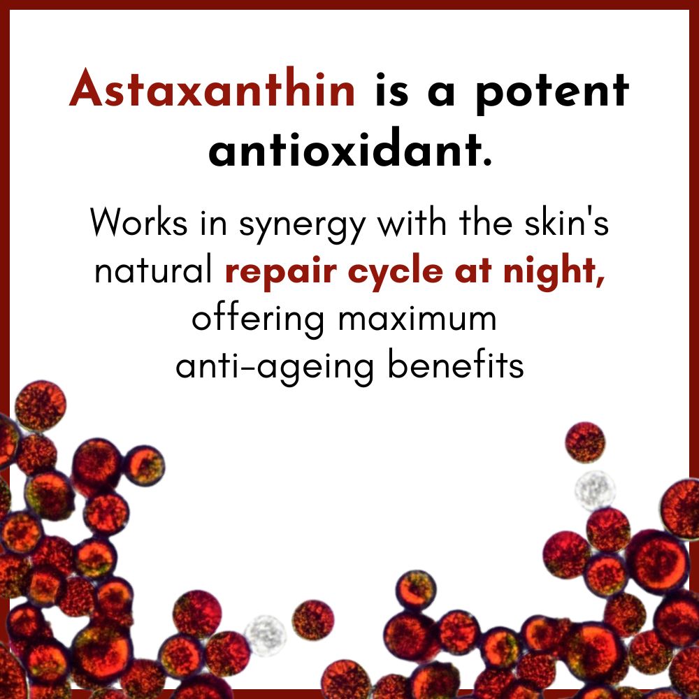 Astaxanthin is a potent antioxidant.
Works in synergy with the skins natural repair cycle at night, offering maximum anti-ageing benefits