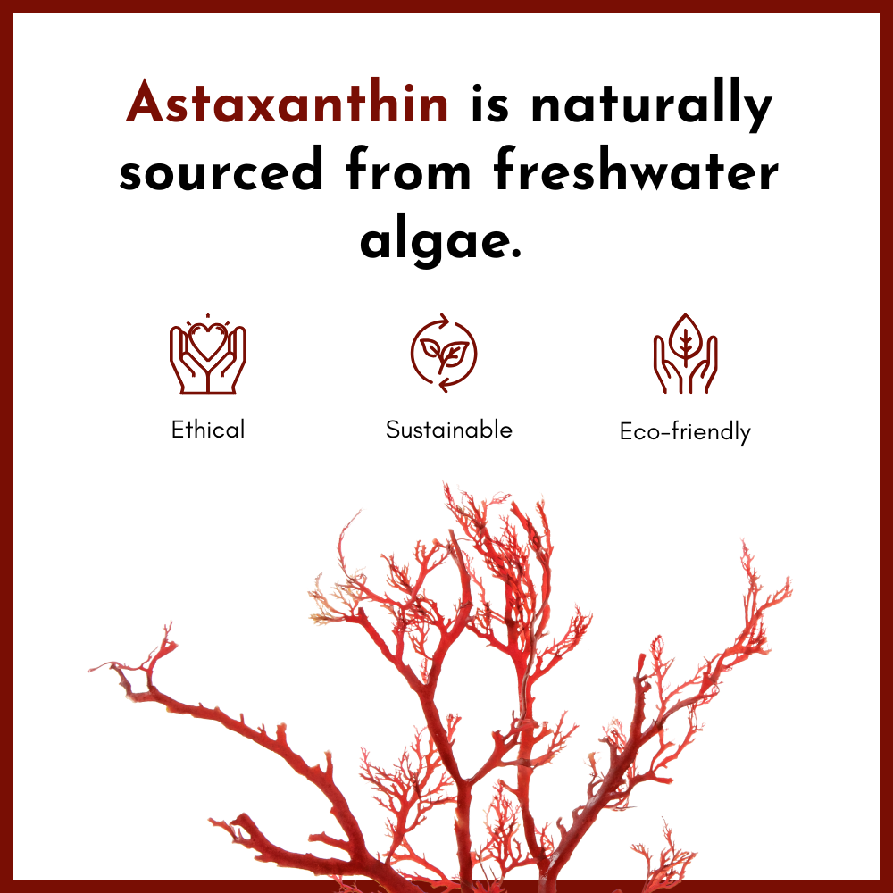 Astaxanthin is naturally sourced from freshwater algae.
Ethical, sustainable and eco-friendly