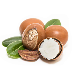 Shea Butter